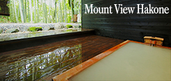 Mount-view-HAKONE