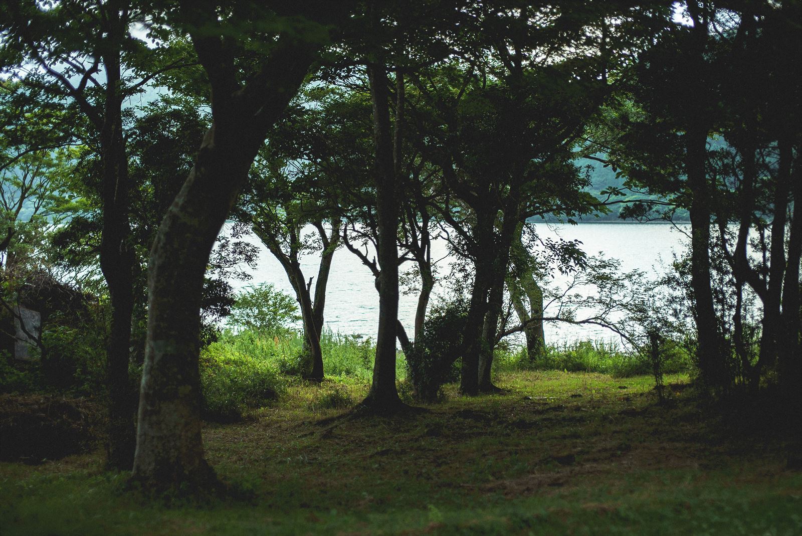 HAKONE Sustainable Tourism